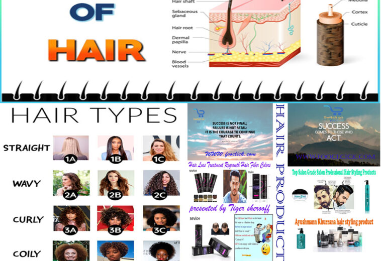 Type, Tips And Treatment Of Hair With Quality Suitable Product
